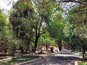 Kunming - Universite du Yunnan (46)